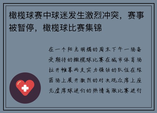 橄榄球赛中球迷发生激烈冲突，赛事被暂停，橄榄球比赛集锦
